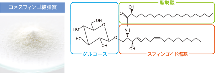 構造式