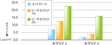 ピーチセラミド®のセラミド（スフィンゴ糖脂質）は、皮膚中に含まれるセラミドの産生増加作用があることがわかりました。