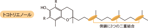 トコトリエノール
