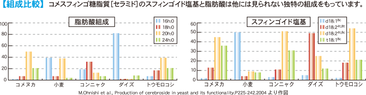 組成比較